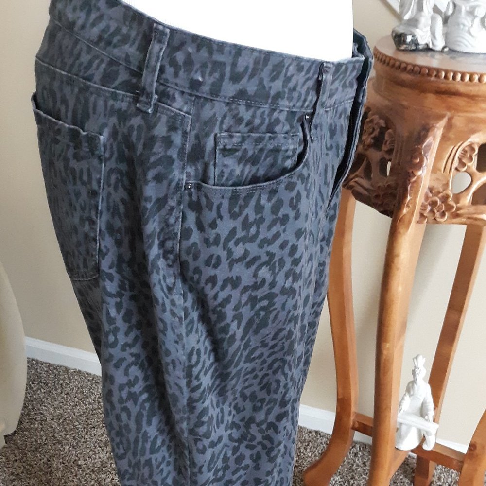 Style & Co. Curvy Skinny Leg EUC 10. FINAL - Picture 4 of 6